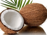 Świeży kokos (1szt) .
